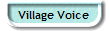 Village Voice 