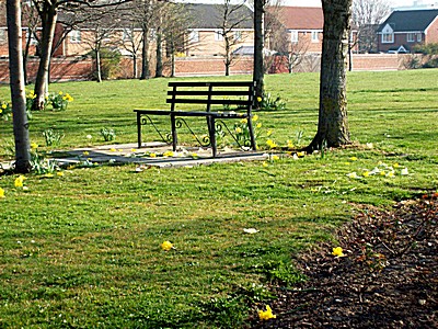 vandalised flowers at the Airman Statue