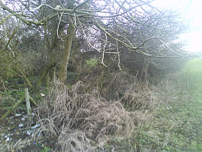 DSC00207