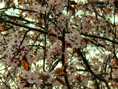 P1130844