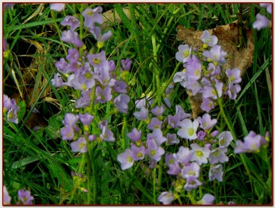 P1140385