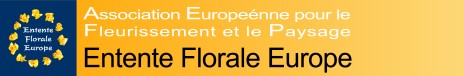 aefplogo3