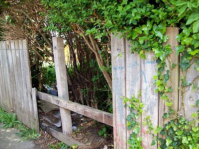 fence