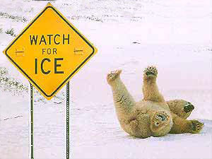 icy_roads53505