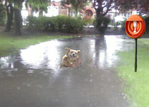 rain