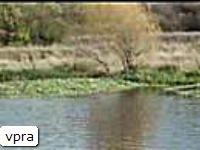 vpra983 vpra983